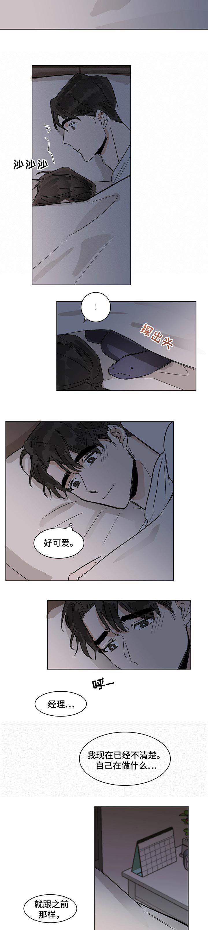 第18章：期望的答案