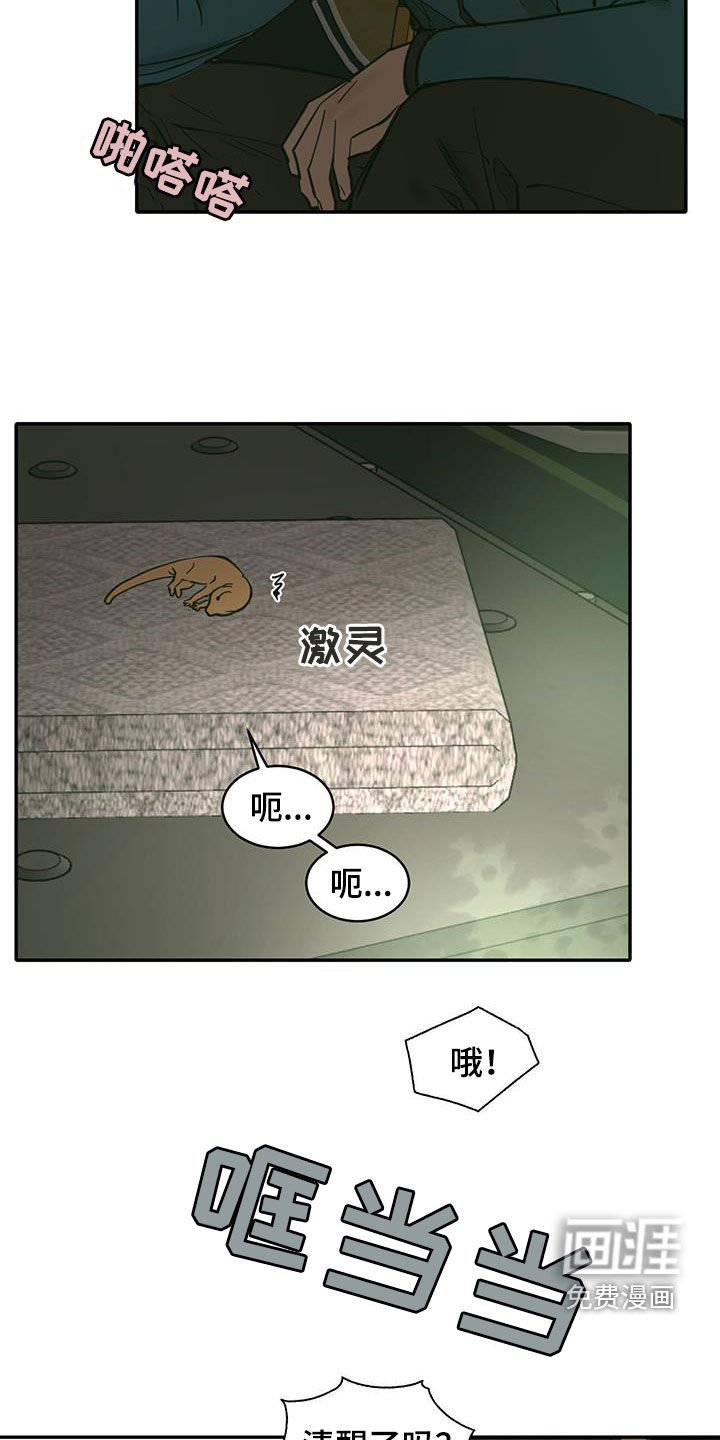 第182章：【番外】露营