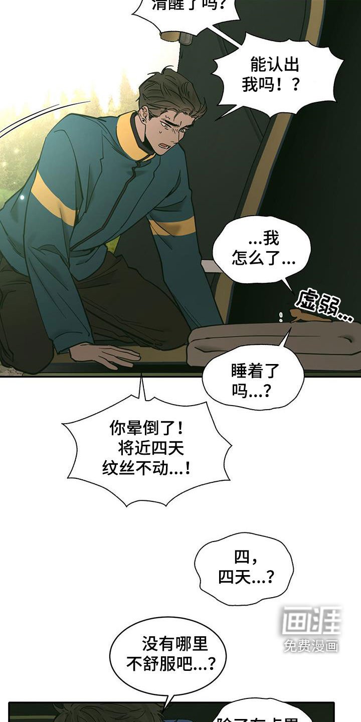 第182章：【番外】露营
