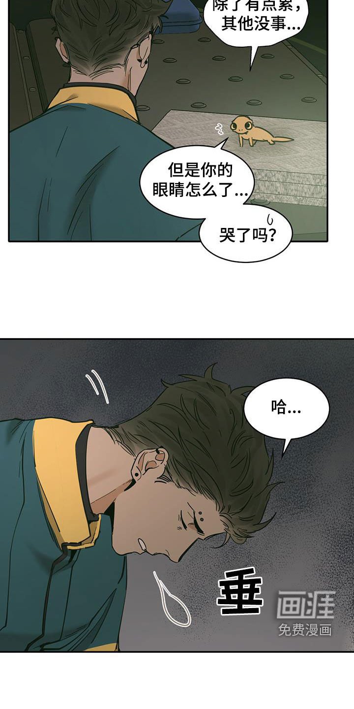 第182章：【番外】露营