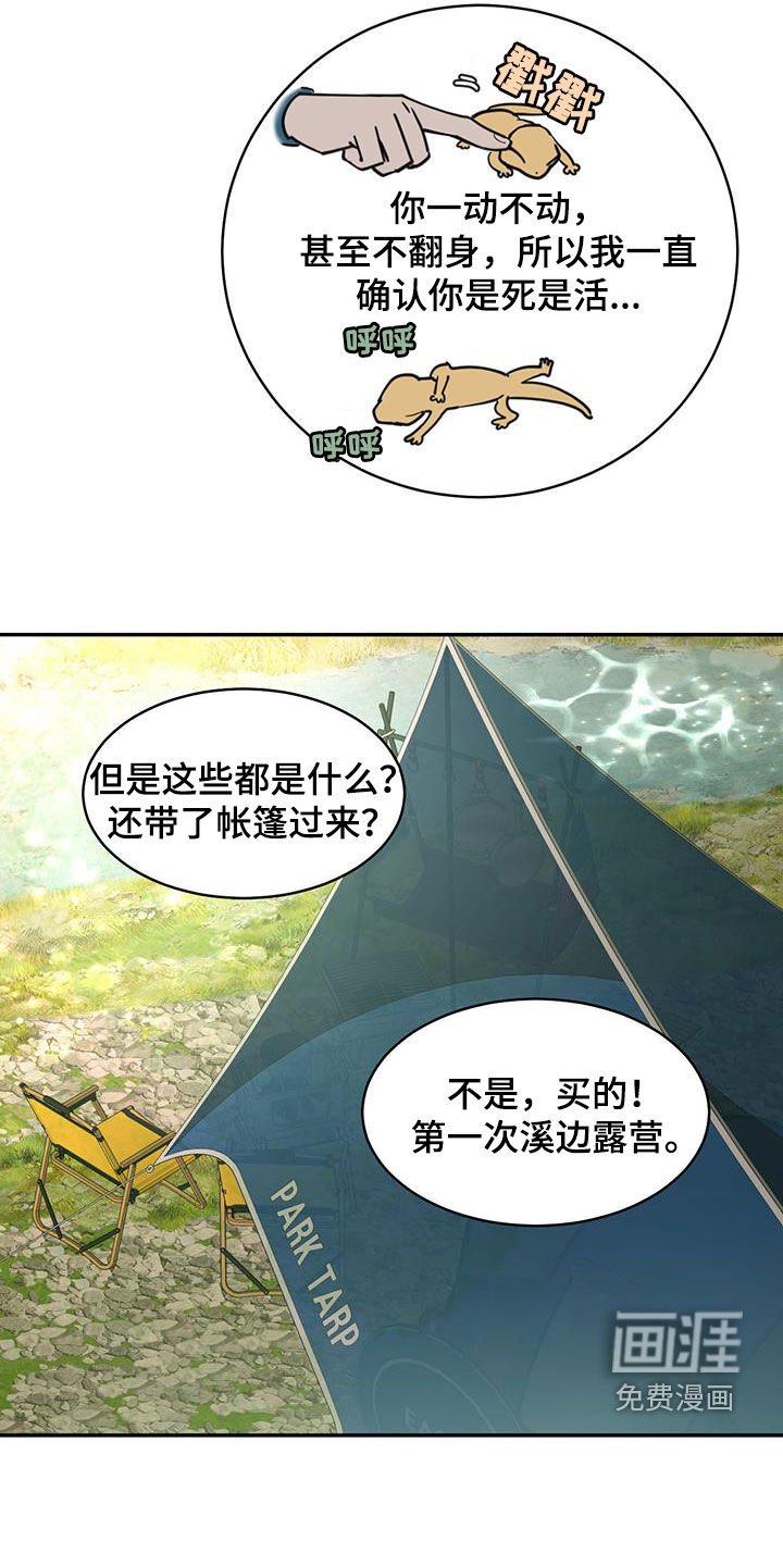 第182章：【番外】露营