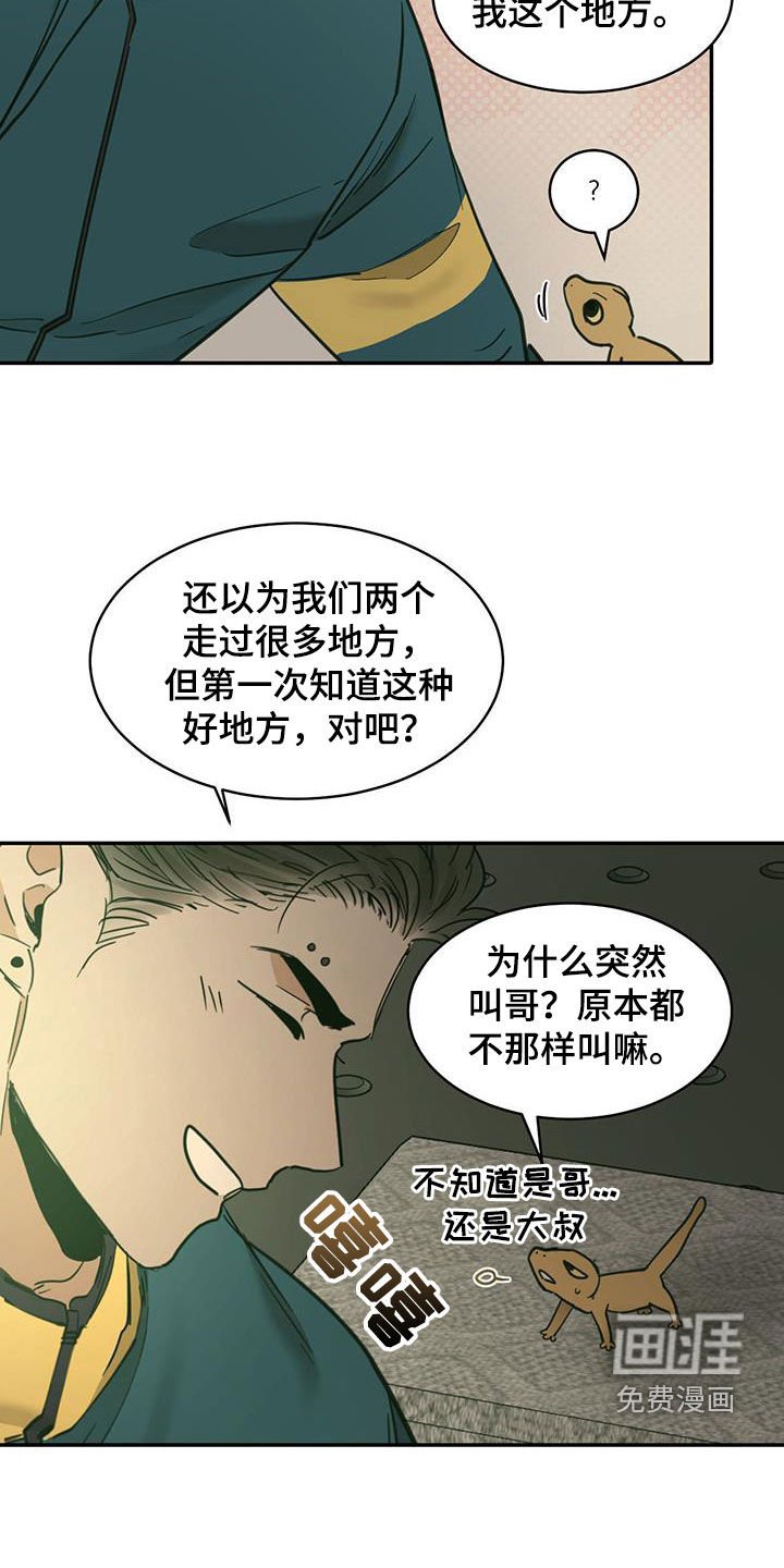 第182章：【番外】露营