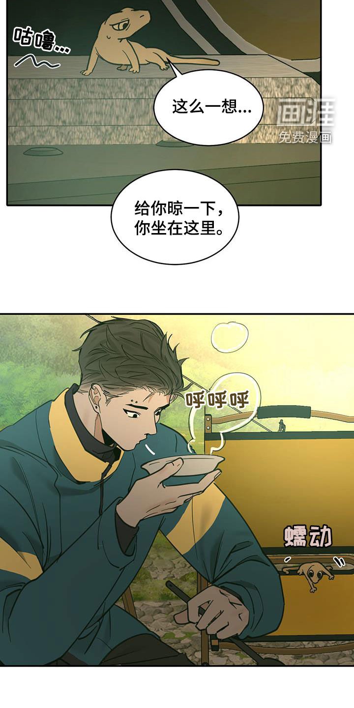 第182章：【番外】露营