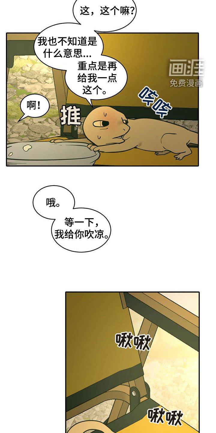 第182章：【番外】露营