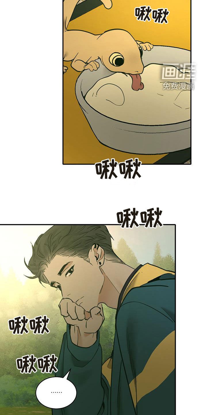 第182章：【番外】露营