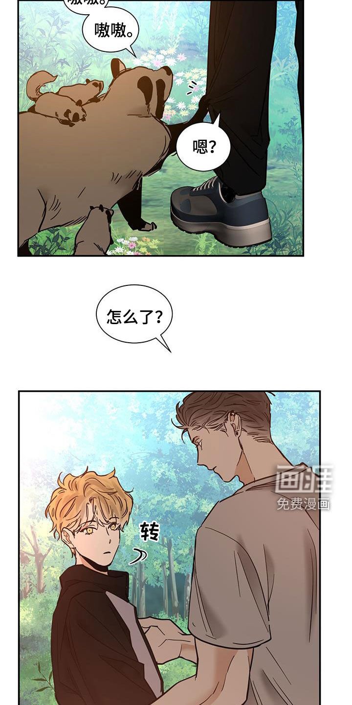 第185章：【番外】小鹿