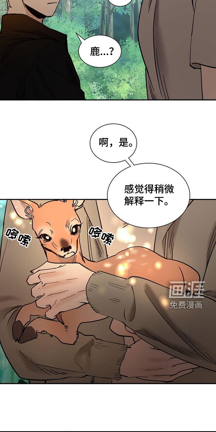 第185章：【番外】小鹿
