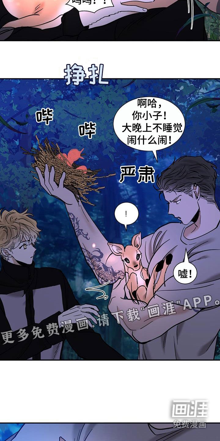 第186章：【番外】跟傻子一样
