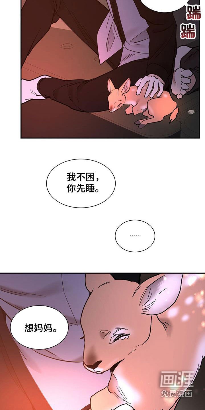 第186章：【番外】跟傻子一样