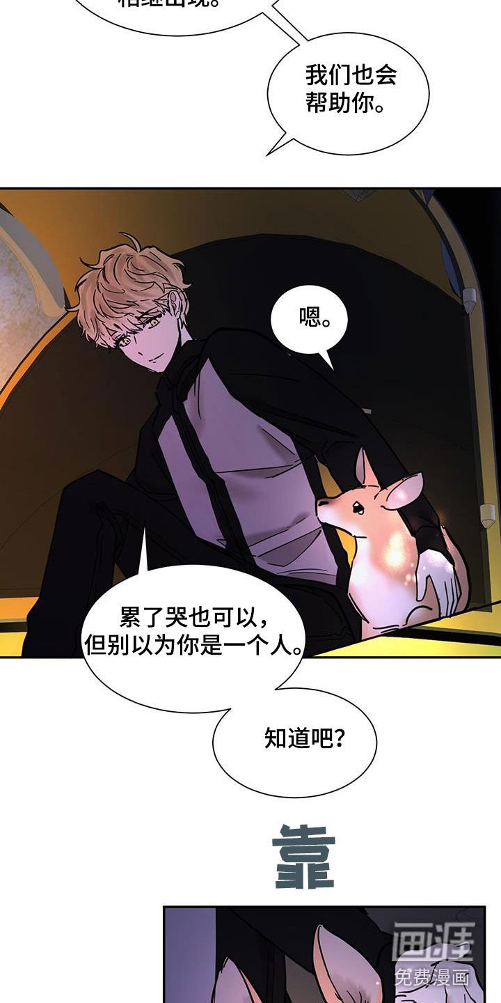 第186章：【番外】跟傻子一样