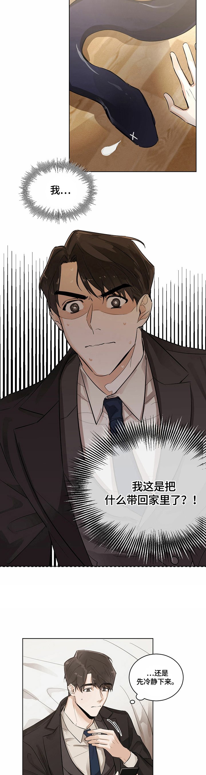 第3章：带回家