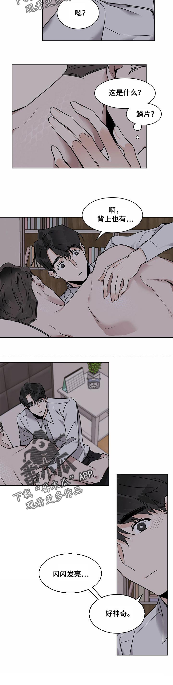 第32章：鳞片