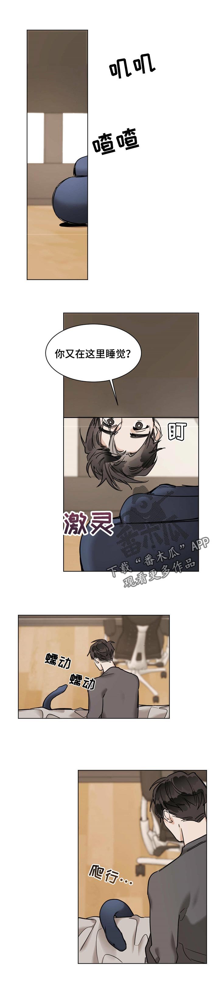 第37章：便装