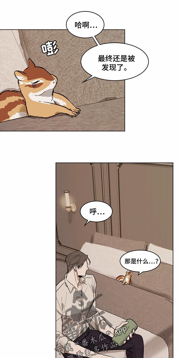第64章：【特别篇】大尾巴