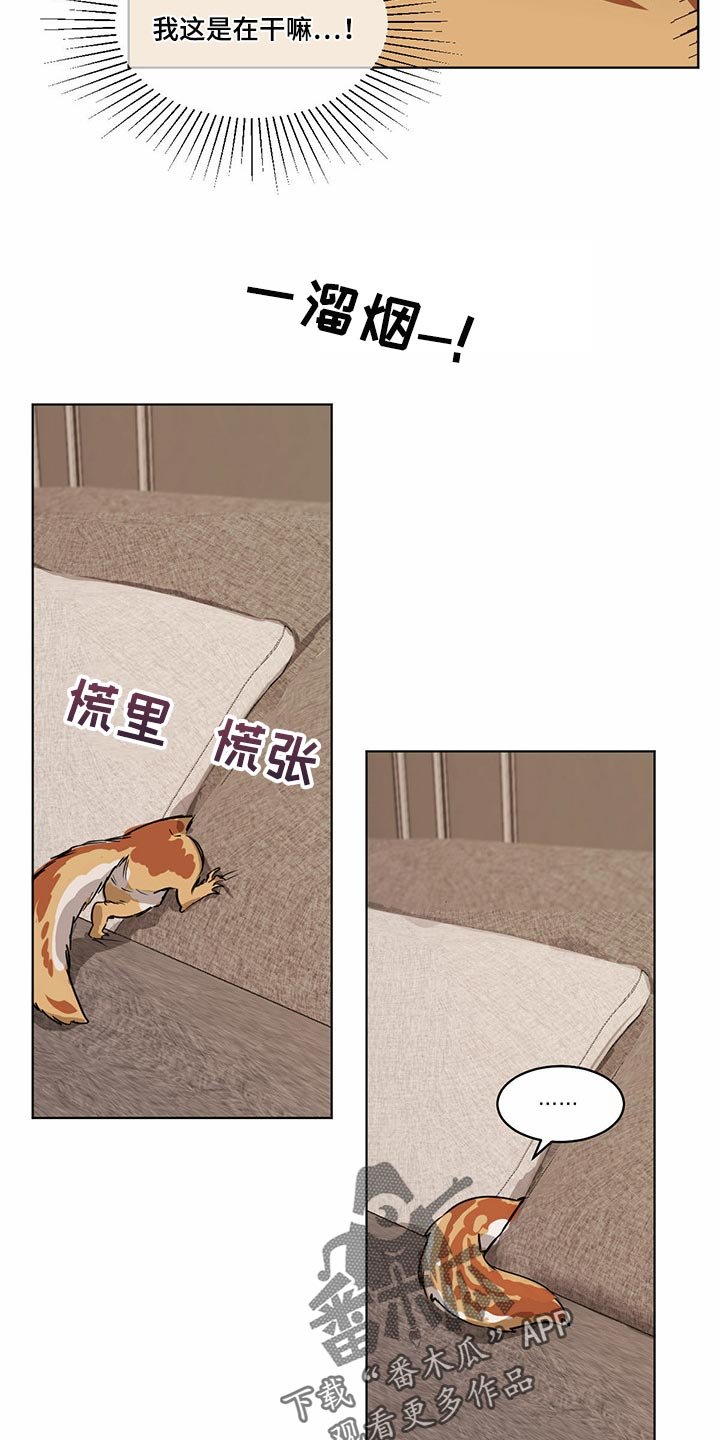 第64章：【特别篇】大尾巴