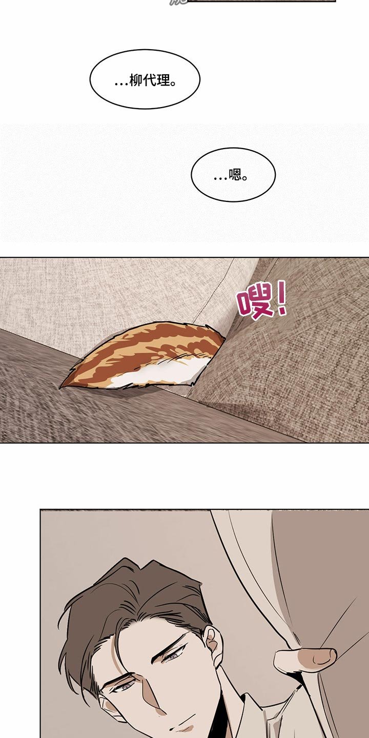 第64章：【特别篇】大尾巴