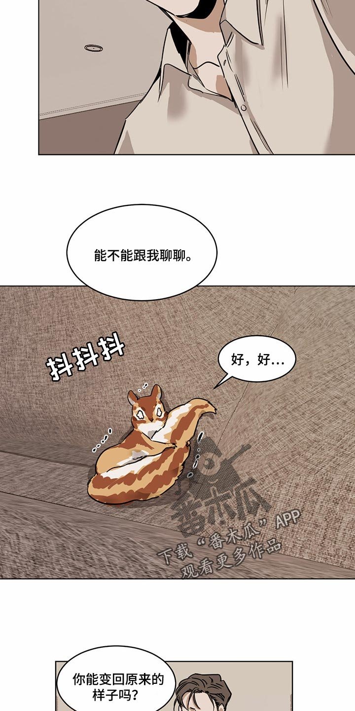 第64章：【特别篇】大尾巴