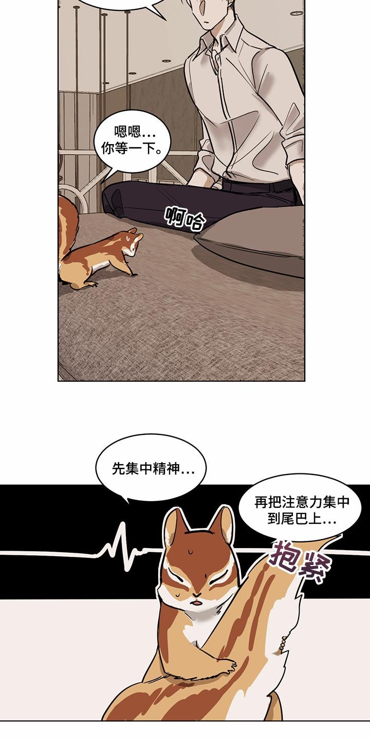 第64章：【特别篇】大尾巴