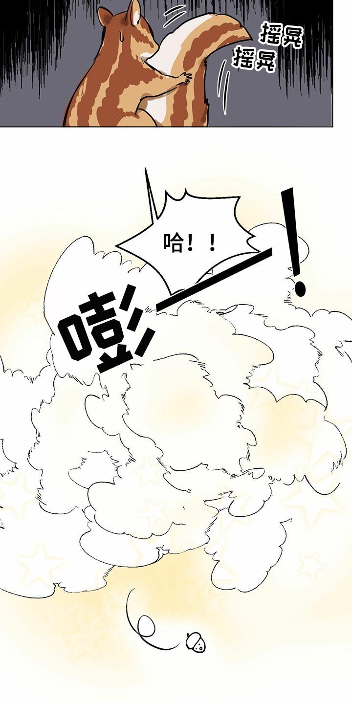 第64章：【特别篇】大尾巴