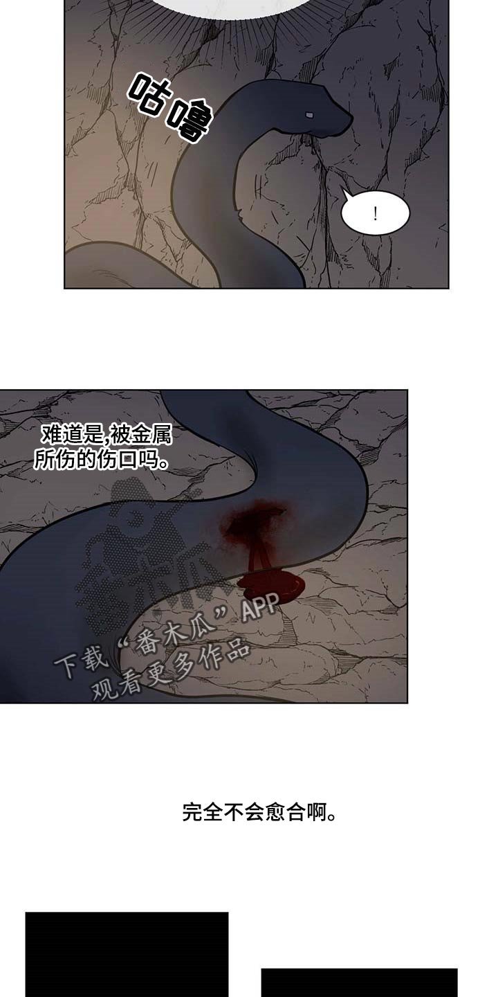 第66章：不会愈合