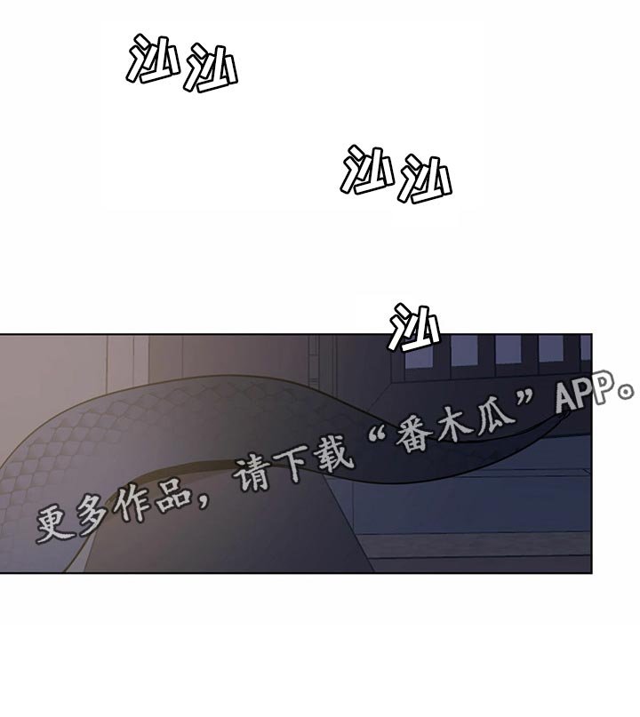 第68章：像是在哪里见过