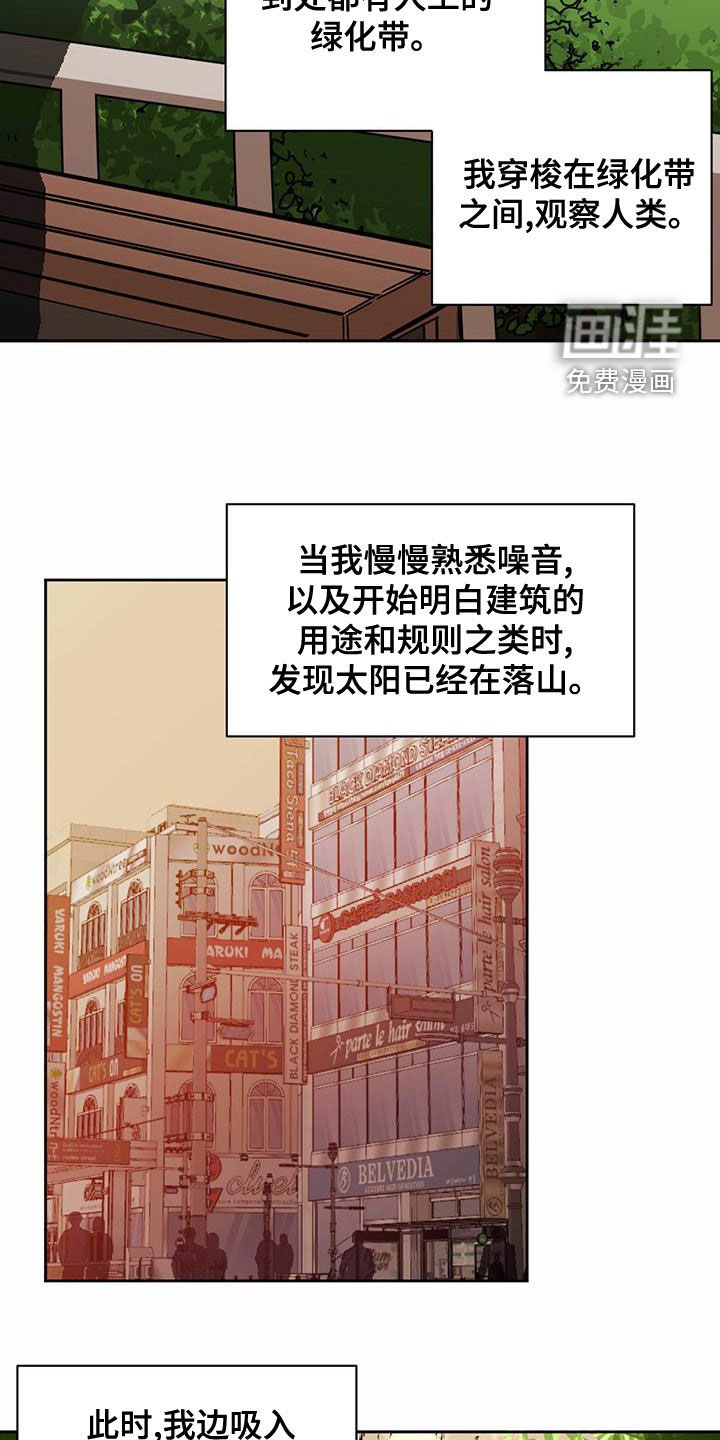 第90章：【第二季】观察