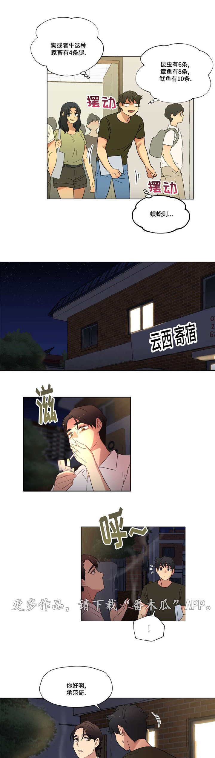 第29章：幻想
