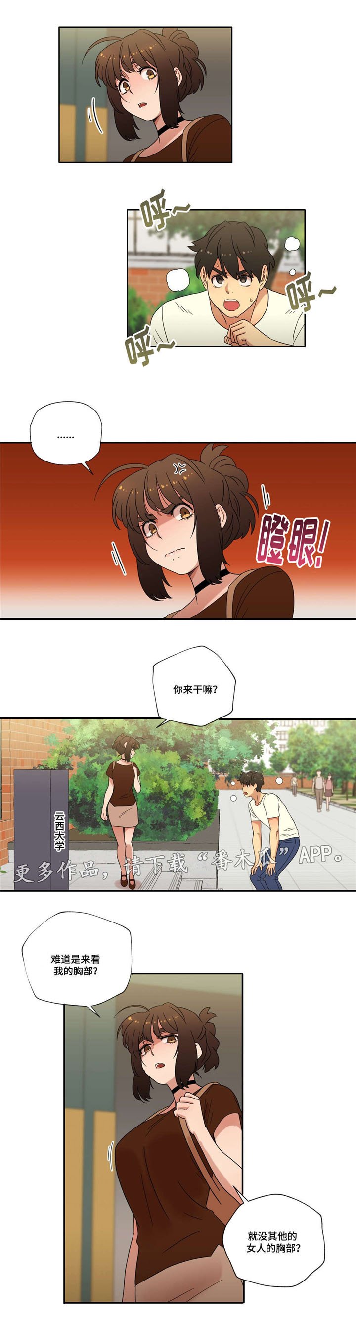第46章：重逢