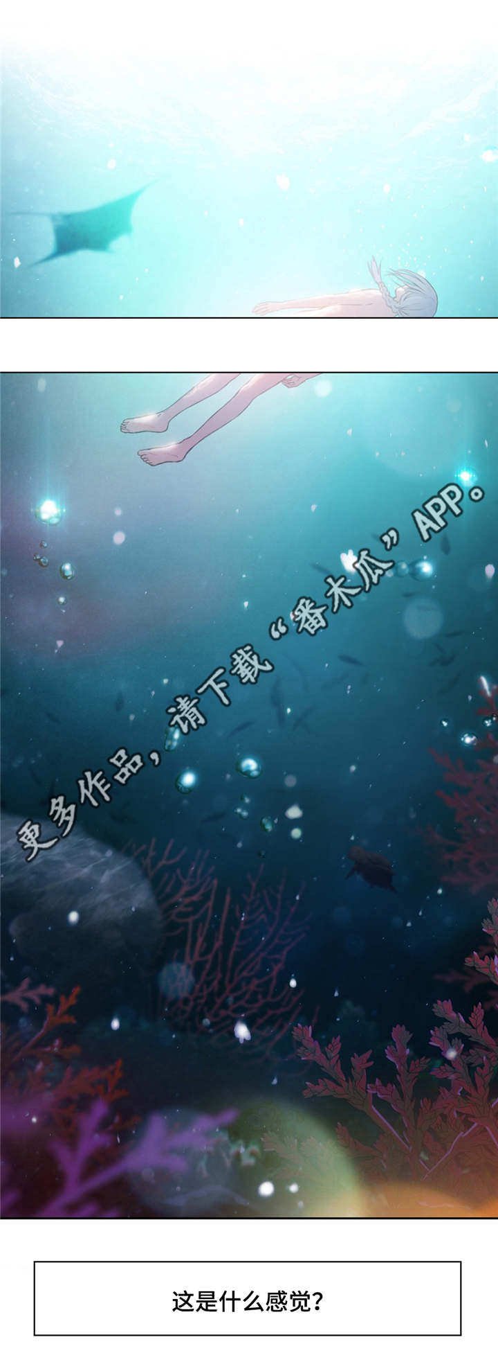 第24章：赔偿
