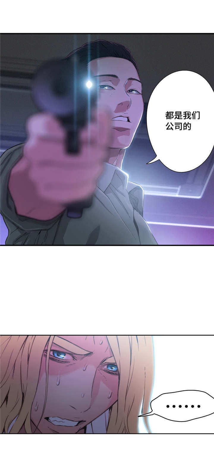 第40章：公司项目
