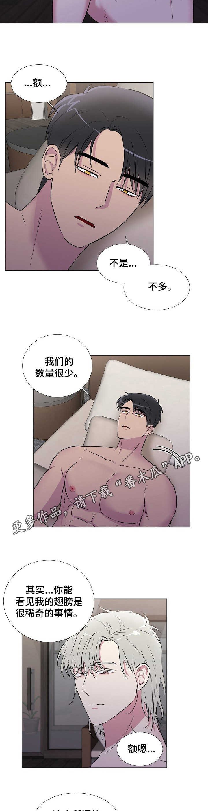 第10章：好奇