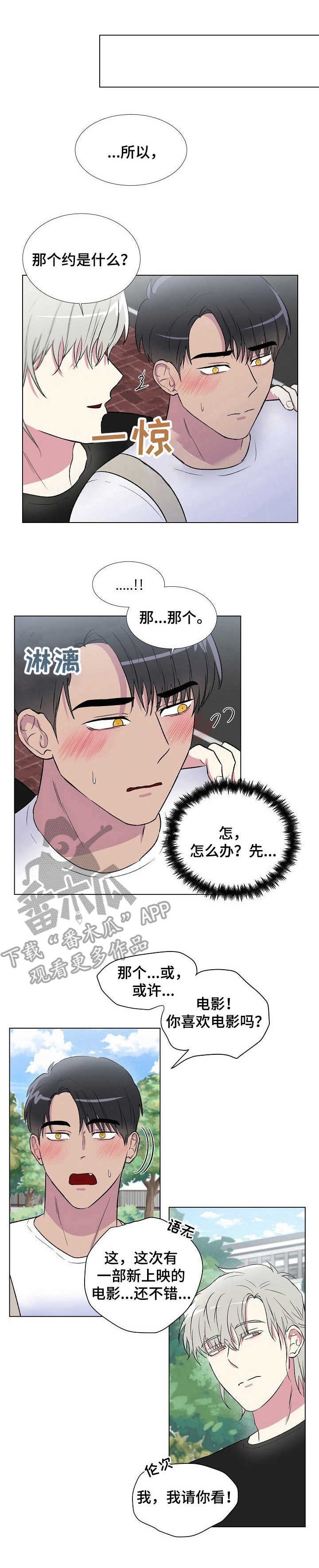 第13章：电影