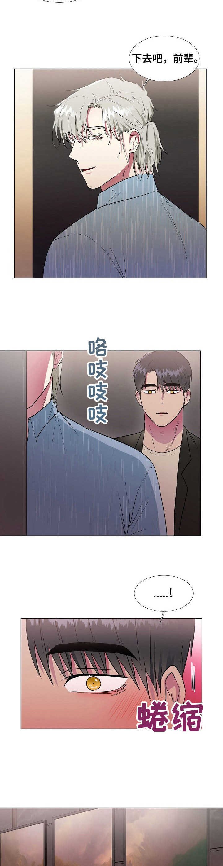 第15章：美食
