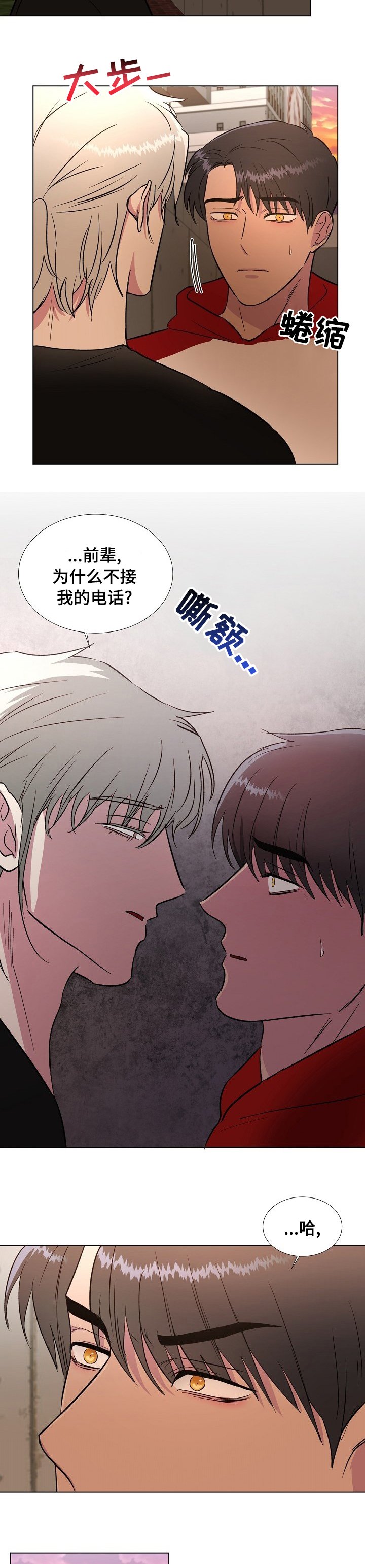 第41章：不关你的事