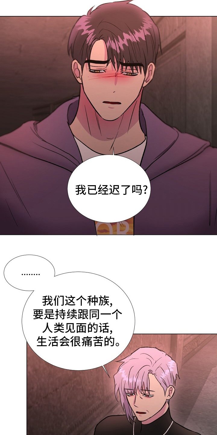第54章：选择