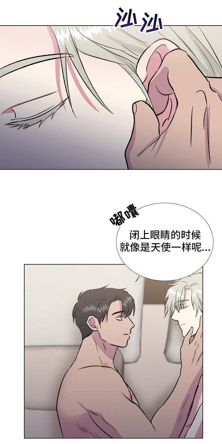 第62章：【完结】决定