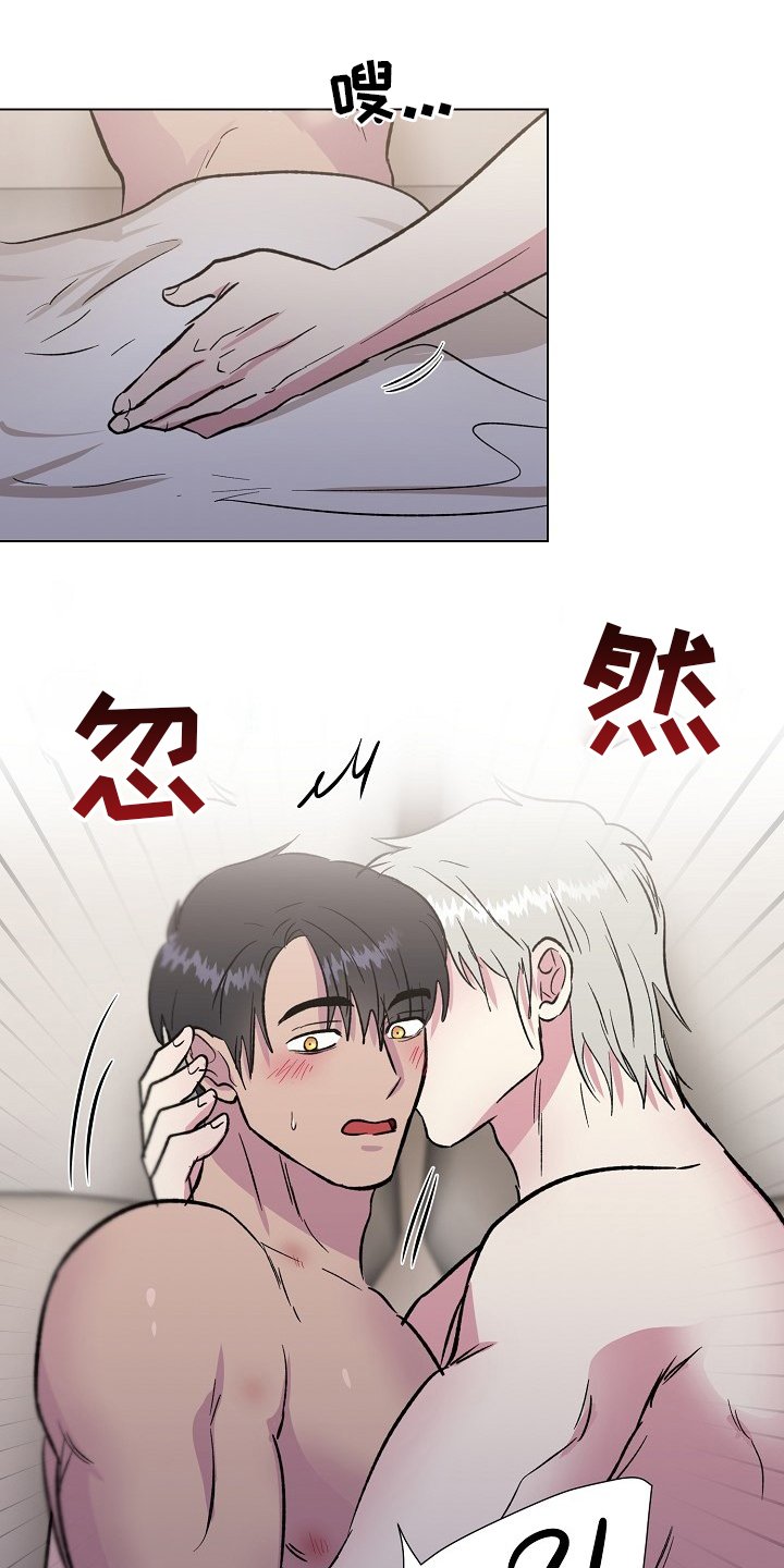 第62章：【完结】决定