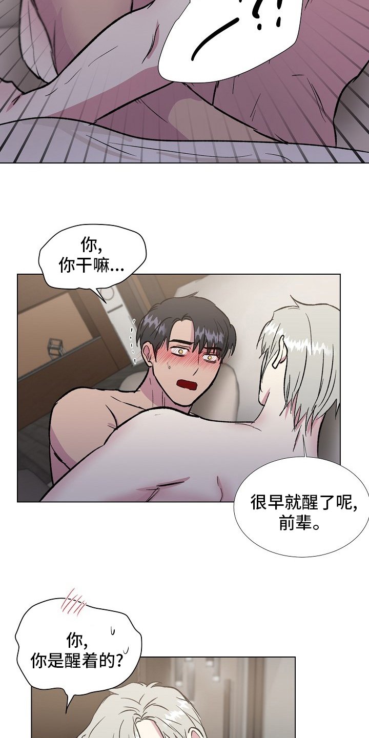 第62章：【完结】决定