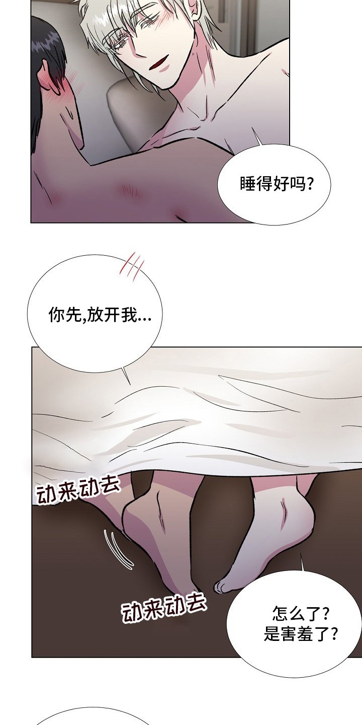 第62章：【完结】决定