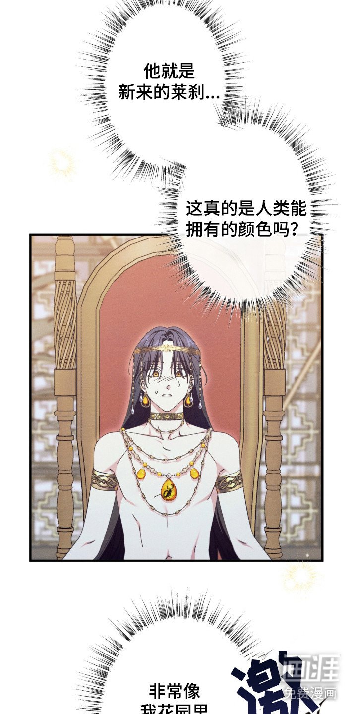 第13章：对视