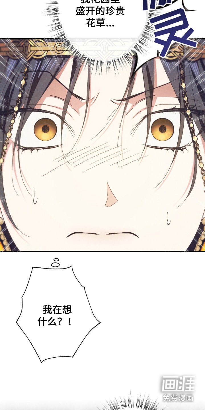 第13章：对视