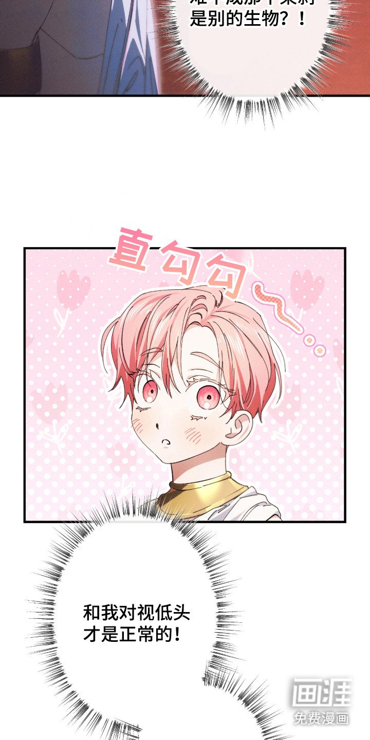 第13章：对视