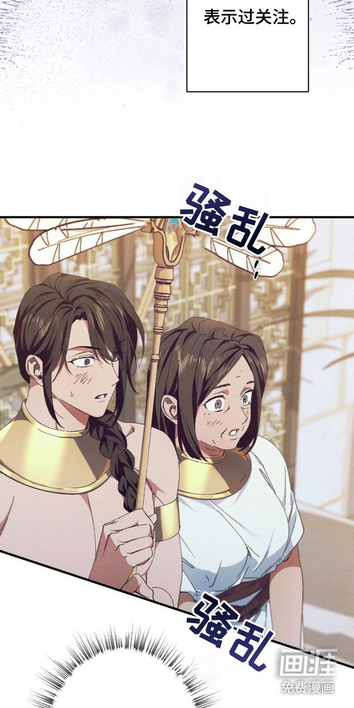 第14章：获得关注