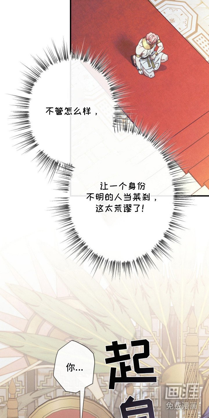 第14章：获得关注