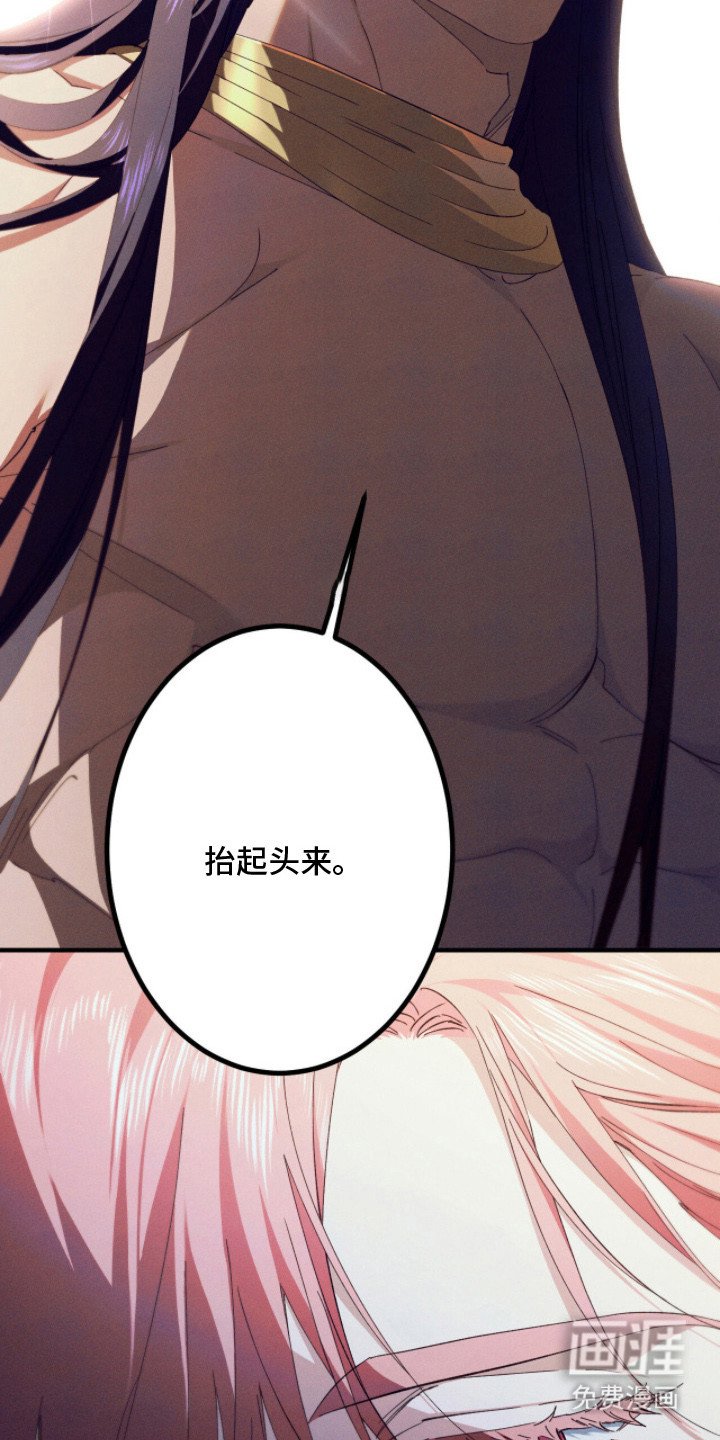 第14章：获得关注