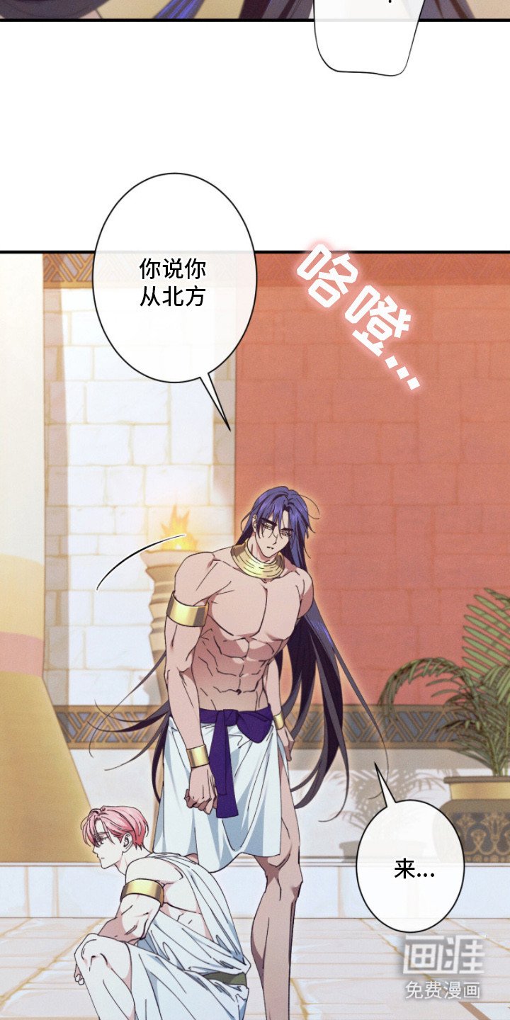 第15章：香味