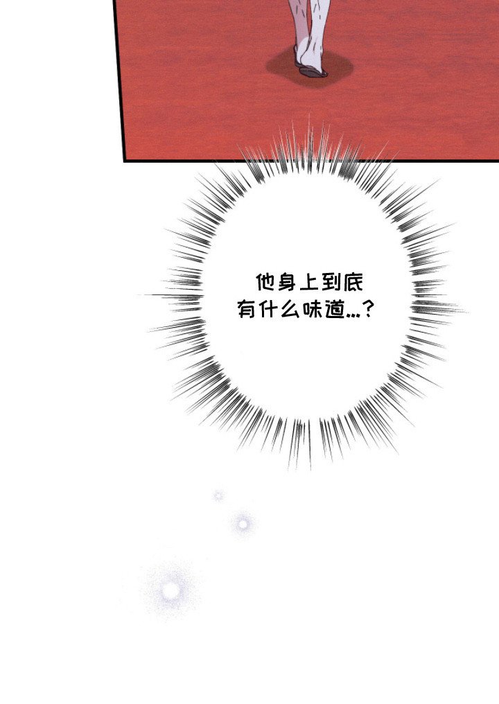 第15章：香味