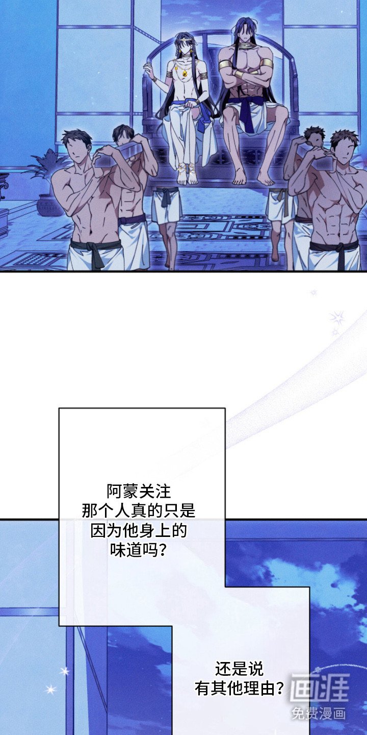 第16章：缺乏勇气