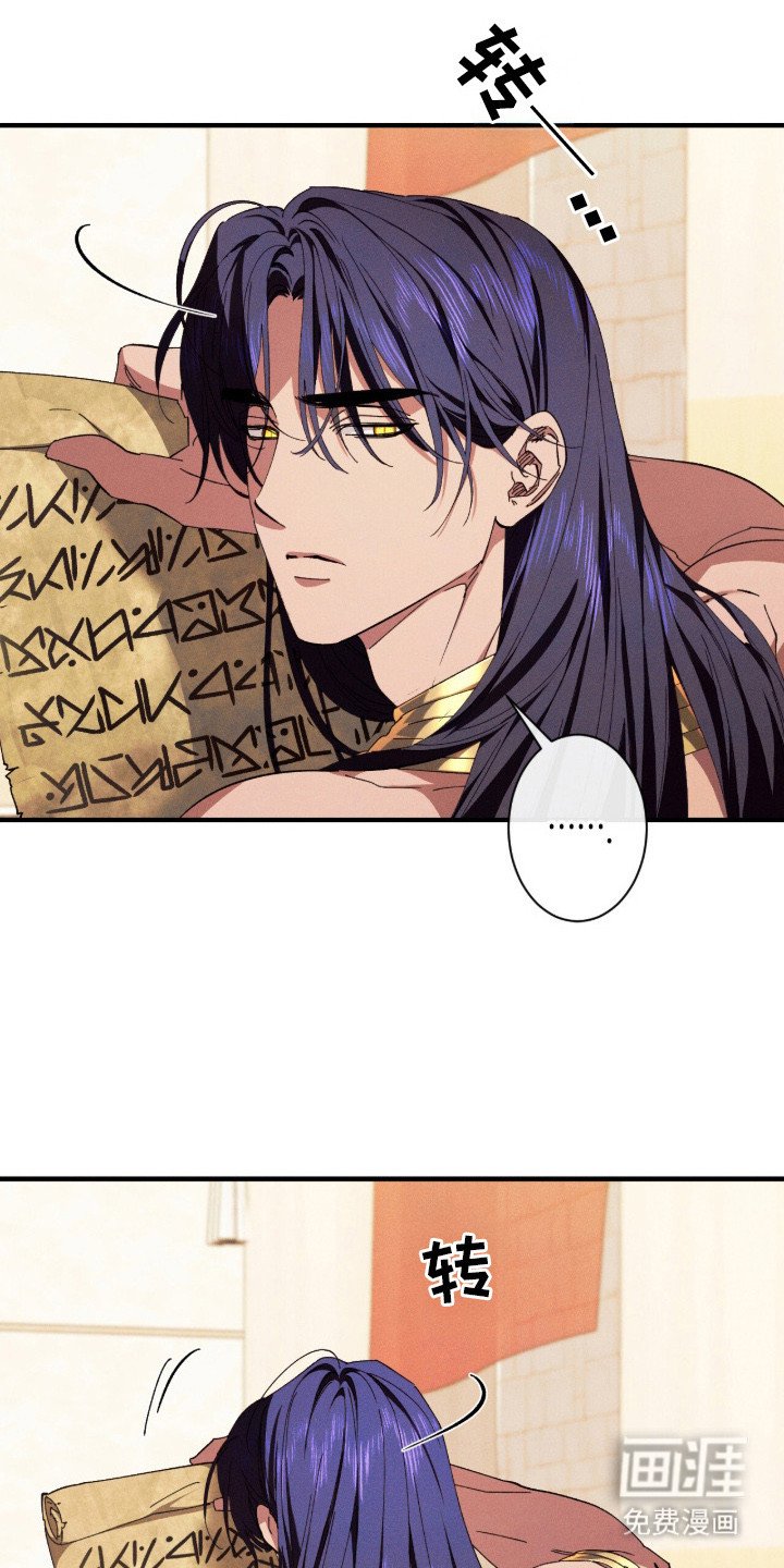 第19章：护卫