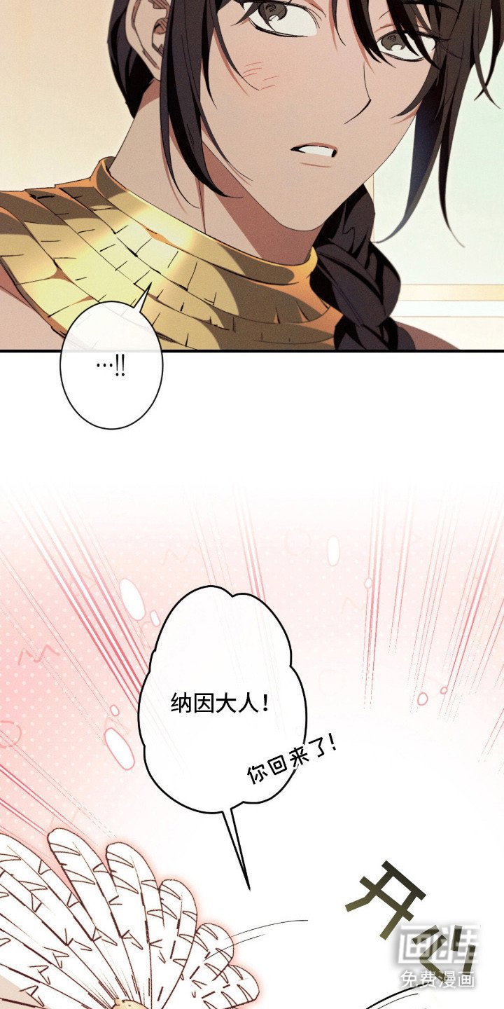 第19章：护卫
